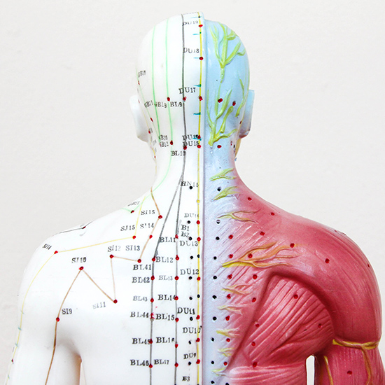 Points d'acupuncture et méridiens